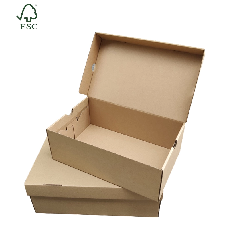 Quantum tu scis de Eco-amica paper boxes?