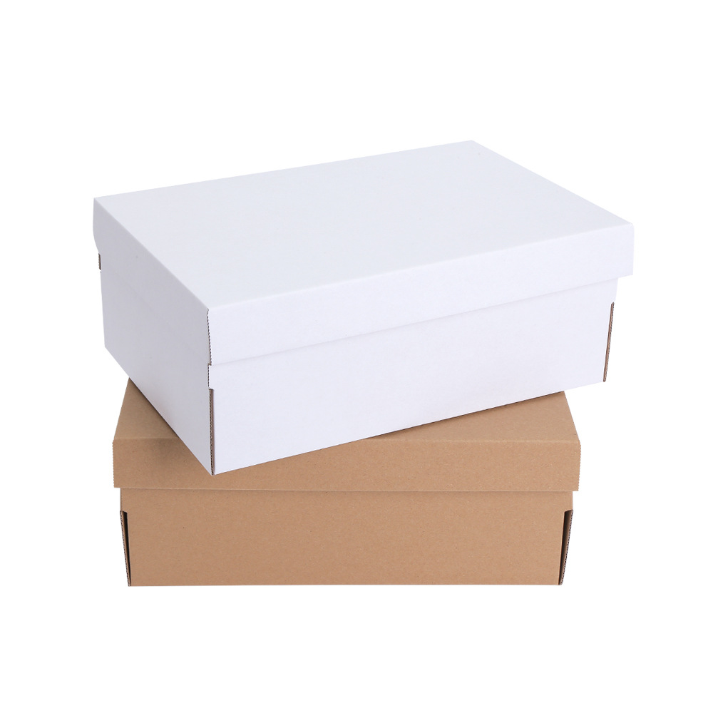 CONRUGIS cardboard calceus arca