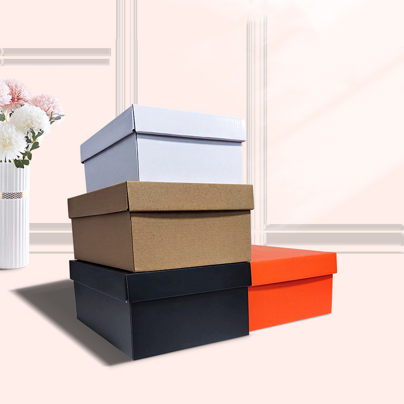 Operculum et Base Box